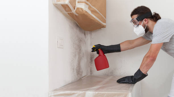 Professional Mold Remediation technician working in Baldwin, MI